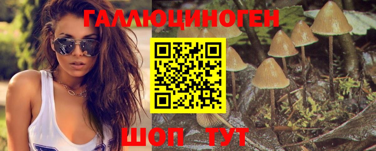 Приморско-Ахтарск  Псилоцибиновые грибы Magic Shrooms  Вход с VPN  Галлюциногенные грибы Cubensis 